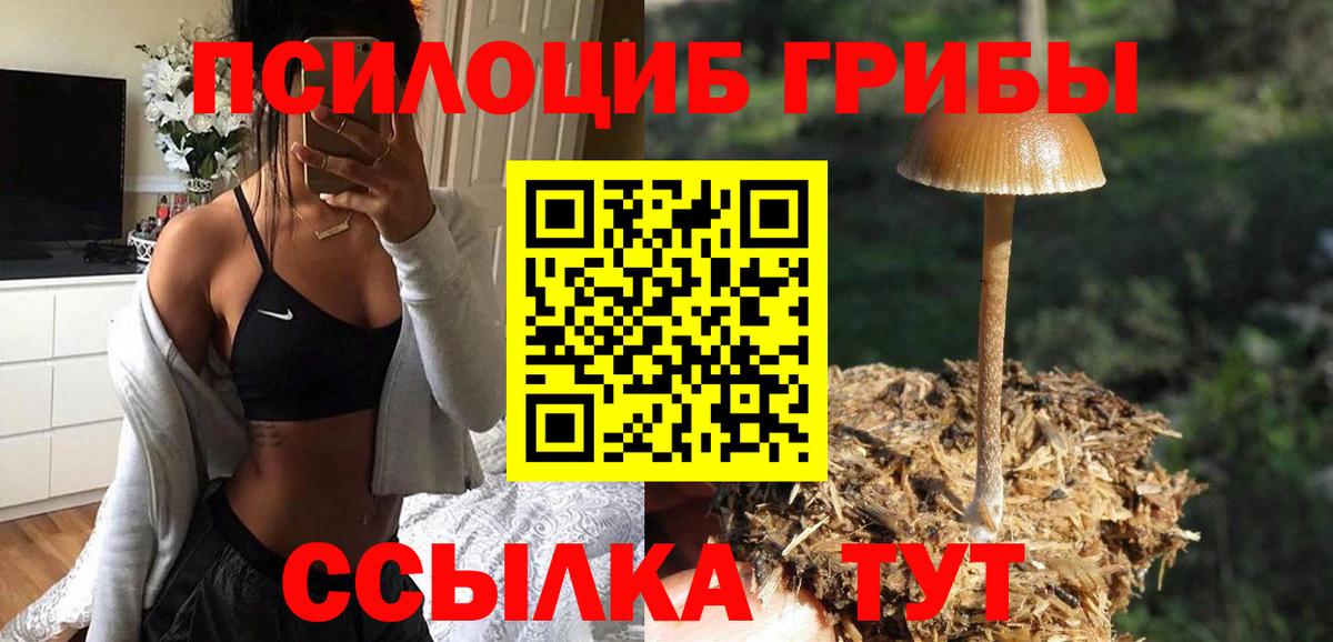 Галлюциногенные грибы Psilocybine cubensis  Вход с VPN  Кизляр  Псилоцибиновые грибы Psilocybine cubensis 